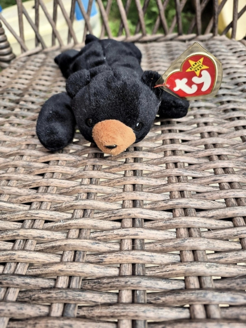 Ty Beanie Baby Blackie The Bear Plush Toy New With Tags Rare Retired